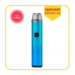 GV-WENAXH1-SM